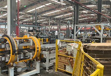 Automated Processing & Packing