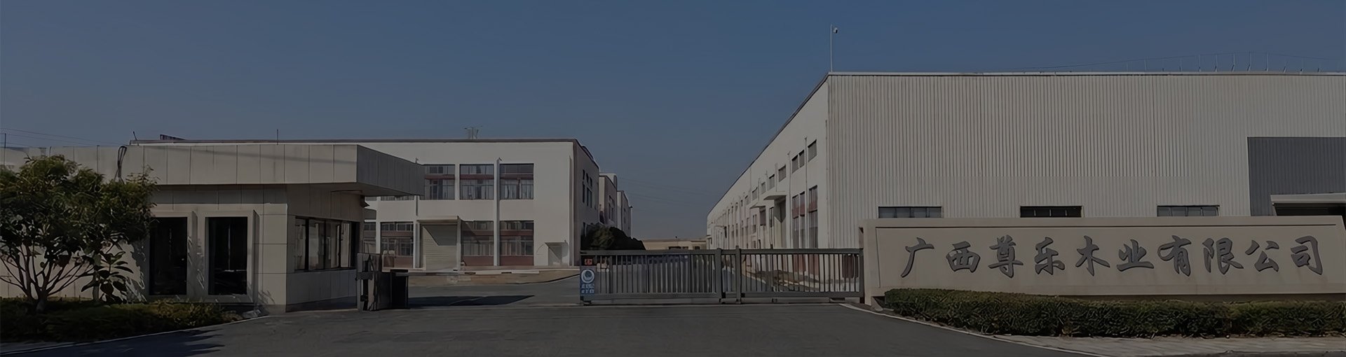 Professional Wall Panel and Flooring Manufacturer in China